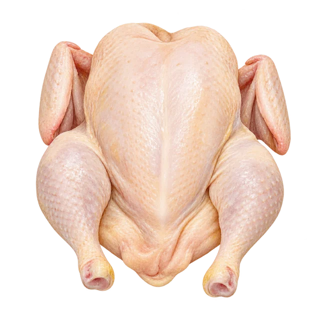 Illustration d’un poulet entier cru prêt à cuire