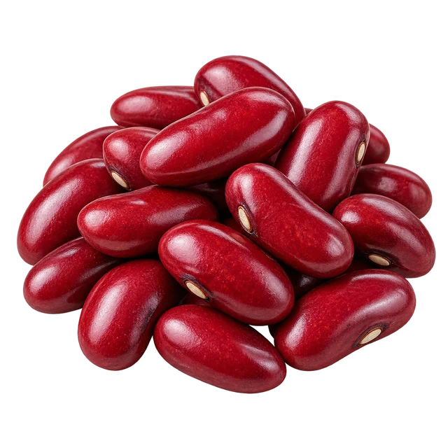 Illustration d’un tas de haricots rouges secs