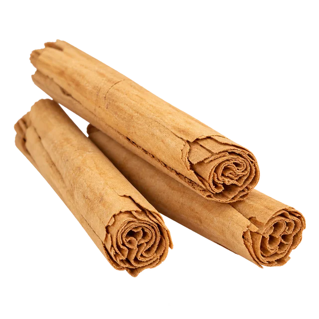 Illustration de bâtons de cannelle faits de fines couches roulées, d’aspect Ceylan ; espèce non vérifiable sur l’image
