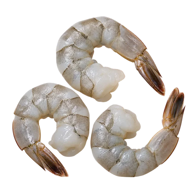 Illustration de trois crevettes crues grisâtres avec leur queue ; espèce non vérifiable sur l’image
