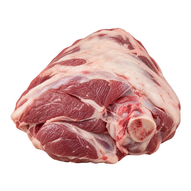 Illustration d’une épaule d’agneau crue avec son os ; origine, race et signe de qualité non vérifiables sur l’image