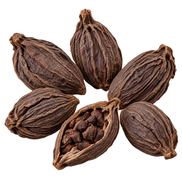 Illustration de capsules de cardamome noire ; origine et mode de séchage non vérifiables sur l’image