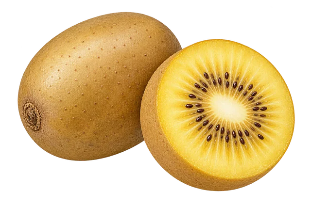 Illustration d’un kiwi à peau brune presque lisse, entier et coupé en deux montrant une chair jaune ; cultivar non certifié