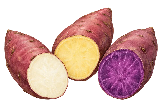 Illustration de trois patates douces à peau rougeâtre coupées, montrant une chair blanche, jaune et violette ; cultivars non certifiés